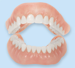 Dentures model